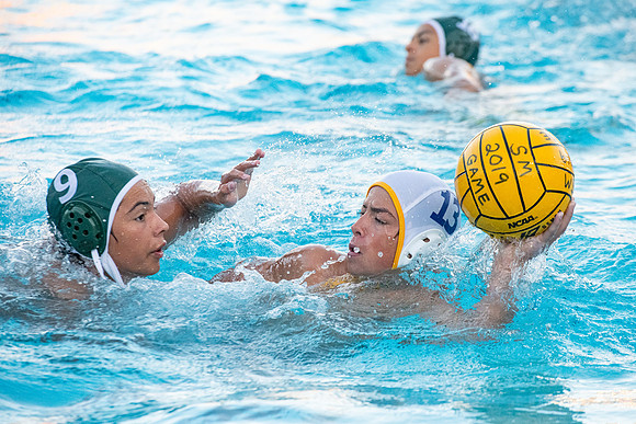 SMP_7229