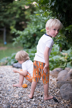 SMP_3342