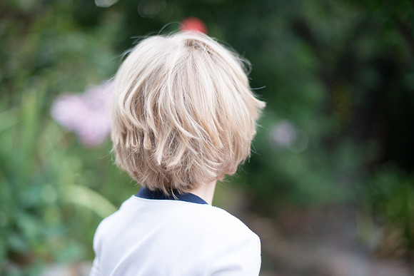 SMP_3386