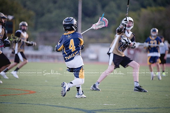 SMP_4384