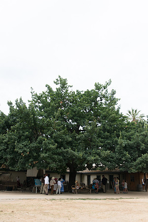 SMP_2722