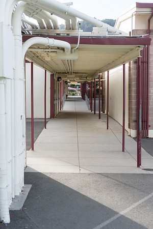 SMP_1856