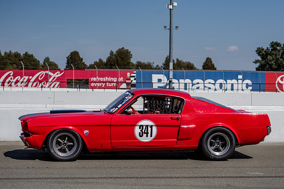 SMP_2951