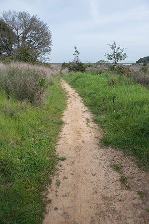 SMP_8180