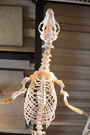 SMP_2928