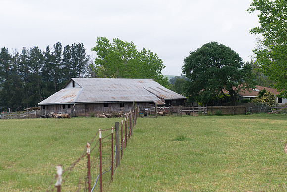 SMP_7951