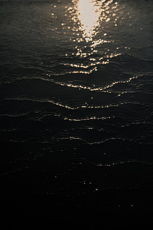 SMP_3020