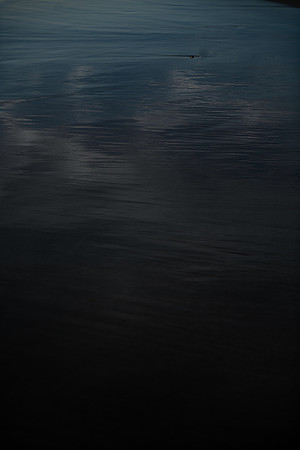 SMP_3023