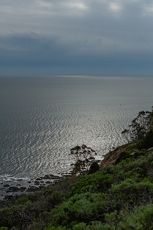 SMP_8773