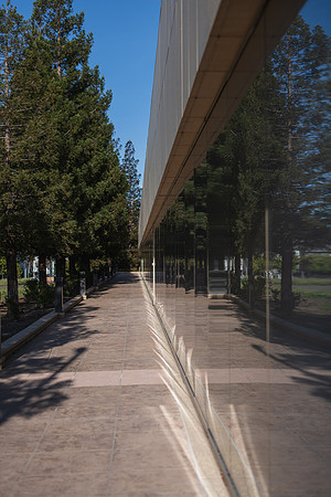 SMP_9588