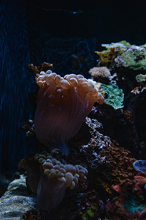 SMP_2553