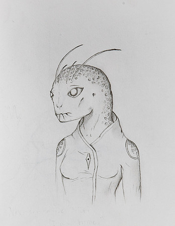 SMP_2732