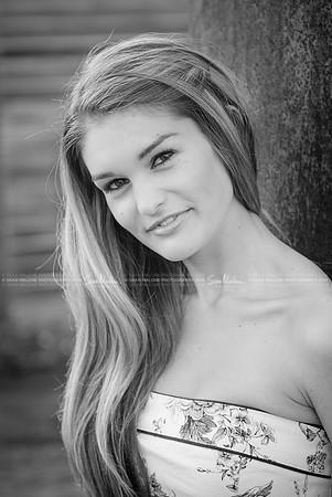 DSC_0481-2