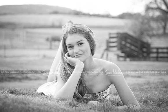 DSC_0429-2