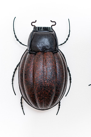 SMP_6542